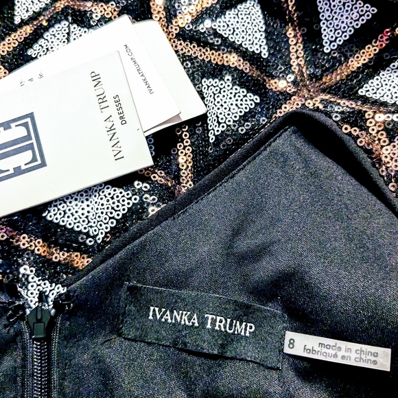 Ivanka Trump, NWT, Geometric, Sequin, Sheath Dress, Size 8 - Picture 8 of 14